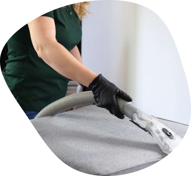 Oferta prania dywanów i tapicerek - The Clean Team